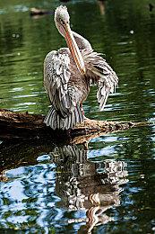 《时空策：湖》Steam页面上线 暂不支持中文